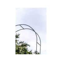 Supporto per pianta - Suan - Supporto per la crescita - Dimensioni: 137 x 38 x 243 cm