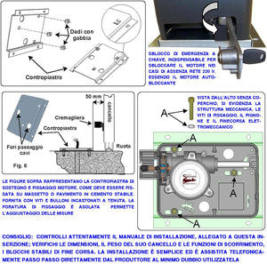 Chiave Sblocco del Motore Geko Montato su Cancello Scorrevole Completo di Leva STP064 Con 2 Chiavi di Sicurezza a Doppio Profilo Emergenza Per Assenza Rete Elettrica Libera L'Anta per Apertura Manuale