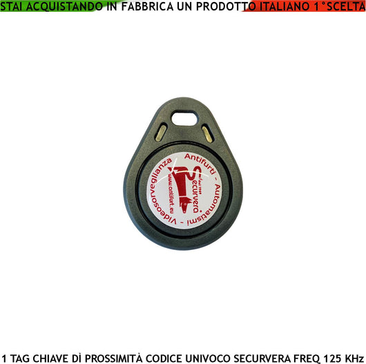 Chiave di Prossimità Trasponder Alta Sicurezza Codice di Base Securvera Univoco EM-4100 Frequenza di Lavoro 125 KHz RFID Altri Codici Generati Random TAG Con Foro Portachiavi Alimentazione x Induzione