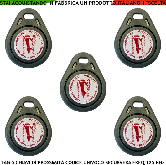 Chiave Cinque Trasponder di Prossimità RFID Alta Sicurezza Codice Base Univoco Securvera EM-4100 Frequenza di Lavoro 125 KHz Codici Generati Random TAG Alimentazione Per Induzione Con Foro Portachiavi