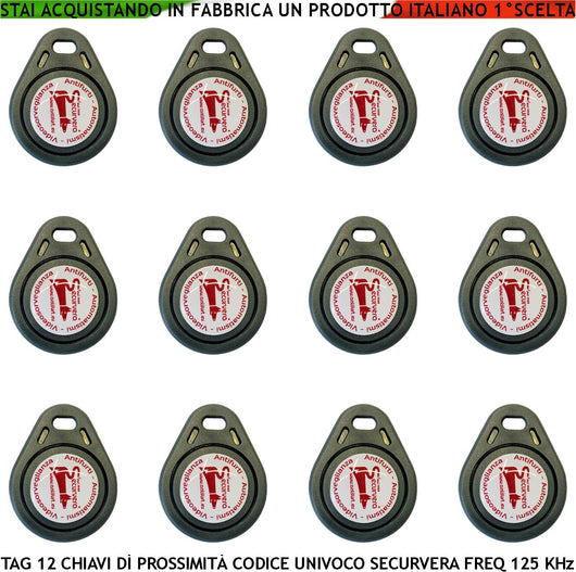 Chiave Dodici Trasponder di Prossimità RFID Alta Sicurezza Codice Base Univoco Securvera EM-4100 Frequenza di Lavoro 125 KHz Codici Generati Random TAG Alimentazione Per Induzione Con Foro Portachiavi