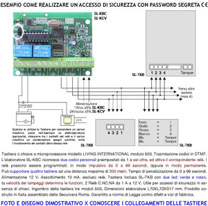Tastiere Interne 2 Pezzi Digitali Per Modulo 503 Un Elaboratore Remoto Gestisce 2 Attivazioni Antifurto Alimentazione 12 V Codici DTMF 6 Cifre 2 Led e 2 Relè Con Funzioni Programmabili Protezine IP44