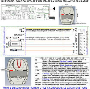 Sirena Allarme Lampeggiante a Led da Esterno Frequenza Nota A/B 1724/2475 Hz 115 dB Comando Caduta +/- 2 Segnali Stato Impianto Antifurto Con Batteria 12 V 2 Ah Alimentazione 12 Vcc Assorbimento 1,4 A