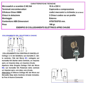 Comando Elettrico 2 Chiavi Con Ritorno a Molla 3 Posizioni Apre Stop Chiude Selettore 2 Contatti 15 A Isolamento 250 V Apertura Condominiale Pedonale Montaggio da Esterno a Parete Comando Automatismi