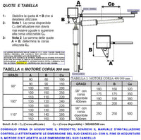 Pistoni Elettromeccanici 24 Vcc Ricambio Cancello Automatico 6 Metri 2 Ante 3,0 MT 2 Motoriduttori Corsa 500 mm Spinta 2 Q.li Kit Staffe Chiave Sblocco al Carrello di Traino Compatibili a Qualsiasi Elettronica BTF Poteco Misure 910X88X88 mm
