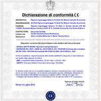 Ricambio Motore Carrera 113000/1 Ingranaggio Esterno 16 Denti x Cremagliera Cancello Scorrevole Universale M4 in Acciaio  Ø Ex 72 mm Ø foro 22 mm Zeppa di Fissaggio 25 mm Spessore 25 mm Ruota Dentata