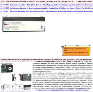 Batteria Ricaricabile al Piombo 12 V 2,0 Ah Collegamento Tramite 2 Faston 5 mm Ermetica VRLA Regolata da Valvola Polarizzati Caricata 3 Cicli C/S Selezionata da Securvera Non Necessita di Manutenzione
