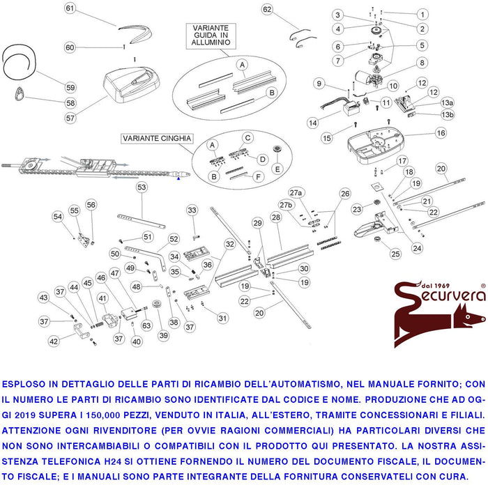 Ingranaggio Esterno 9 Denti Pignone In Acciaio Ricambio del Motore Traimatic Utile 122019/2 Rocchetto Calettato Dell'albero Motoriduttore Che Traina La Catena Regolare La Giusta Tensione Evita Usura