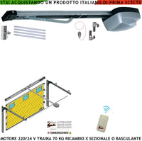 Motore 230/24 V da Soffitto Ricambio Automatismo x Porta Cler Basculante o Sezionale 70 Kg Radiocomando Binario 3 Metri Alluminio Estruso Sistema Autoreverse Sblocco Pattino di Traino Luce di Cortesia