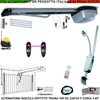 BASCULANTE 100 KG MOTORE 220/24 V SOFFITTO RADIOCOMANDO ARCHETTO OSCILLANTE BLINDINO SBLOCCO FOTOCELLULA FARO ANTENNA