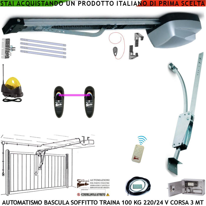 BASCULANTE 100 KG MOTORE 220/24 V SOFFITTO RADIOCOMANDO ARCHETTO OSCILLANTE BLINDINO SBLOCCO FOTOCELLULA FARO ANTENNA