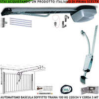 BASCULANTE AUTOMATISMO A SOFFITTO MOTORE AUTOREVERSE 220/24 V TRAINA 100 KG ARCHETTO KIT BLINDINO SBLOCCO DI EMERGENZA
