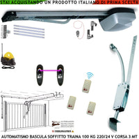 BASCULANTE CONTRAPPESI 100 KG MOTORE 220/24 V AUTOREVERSE ARCHETTO FOTOCELLULE 3 RADIOCOMANDI FARO ANTENNA
