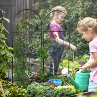 Traliccio da Giardino, Set di 2 Supporti per Piante Rampicanti in Metallo, 38 x 98 cm, Nero