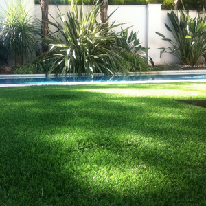 Prato sintetico tappeto erboso spessore fili erba 45 mm sempre verde giardino *** misura larghezza 2 mt, confezione 1