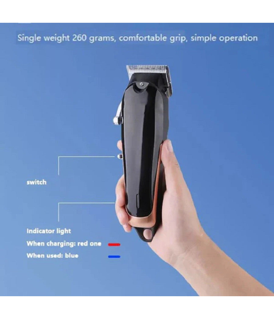 Tagliacapelli Professionale Clipper Trimmer Silenzioso Con Batteria Led Q-lf530         