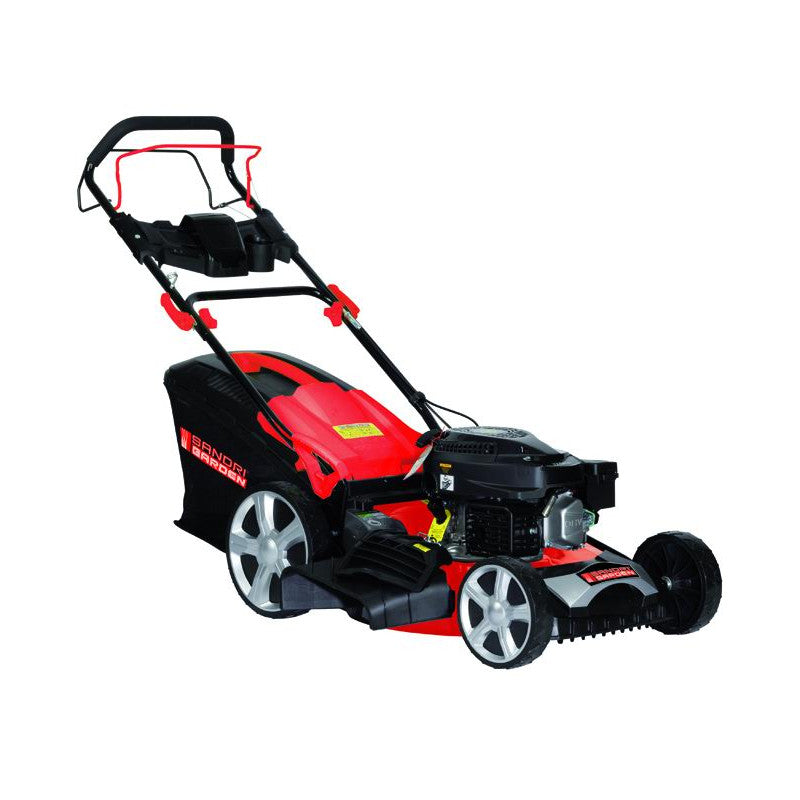 Tagliaerba Sandrigarden Sg-17050 Ohv Semov. 170 Cc