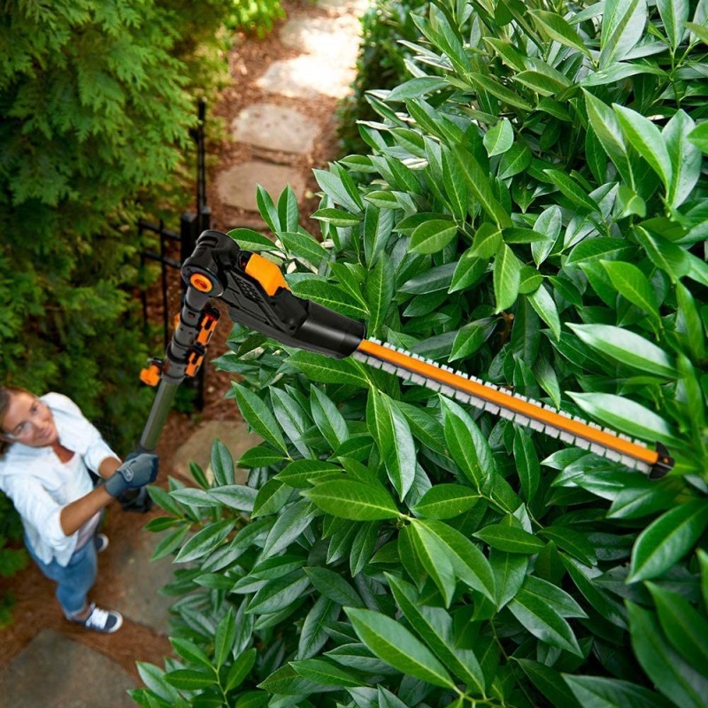 Tagliasiepi con Prolunga 3.6Mt a Batteria 20V/2Ah con Carica Rapido 1H X 2Ah