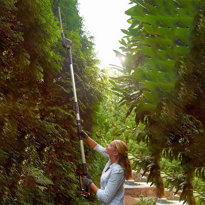 Tagliasiepi con Prolunga 3.6Mt a Batteria 20V/2Ah con Carica Rapido 1H X 2Ah