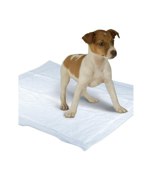 Tappetini Supeer Assorbenti Per Cani Gatti 90x60cm Cuccioli Pannolini Traverse         