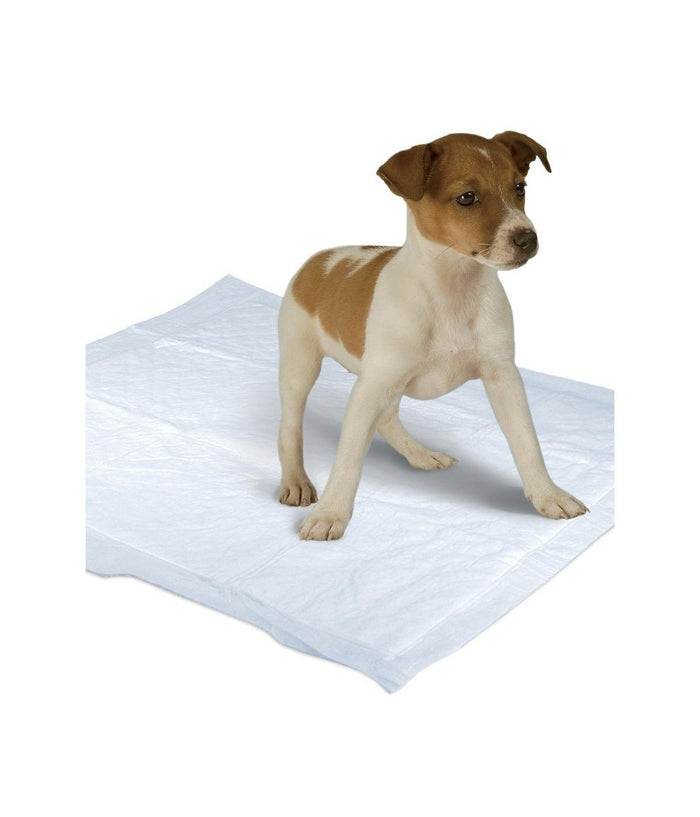 Tappetini Superr Assorbenti Per Cani Gatti 60x60cm Cuccioli Pannolini Traverse         