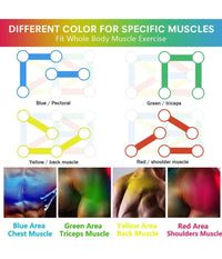 Tavola Attrezzo Allenamento Esercizi Con Maniglie Per Flessioni Multifunzionale         