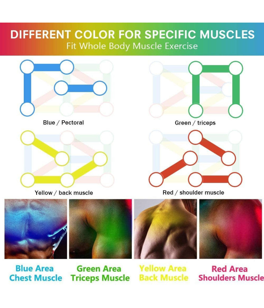 Tavola Attrezzo Allenamento Esercizi Con Maniglie Per Flessioni Multifunzionale         