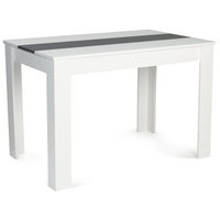 IDMarket - Tavolo da pranzo ROZY 6 persone bianco e grigio 110 cm
