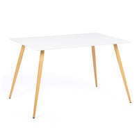 IDMarket - Tavolo da pranzo scandinavo per 6 persone bianco 120 cm SARA