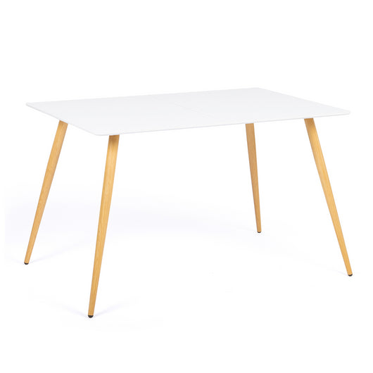 IDMarket - Tavolo da pranzo scandinavo per 6 persone bianco 120 cm SARA