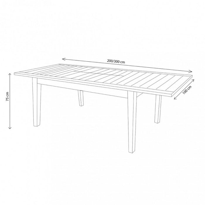 TAVOLO RIBOT 200/300 X 100