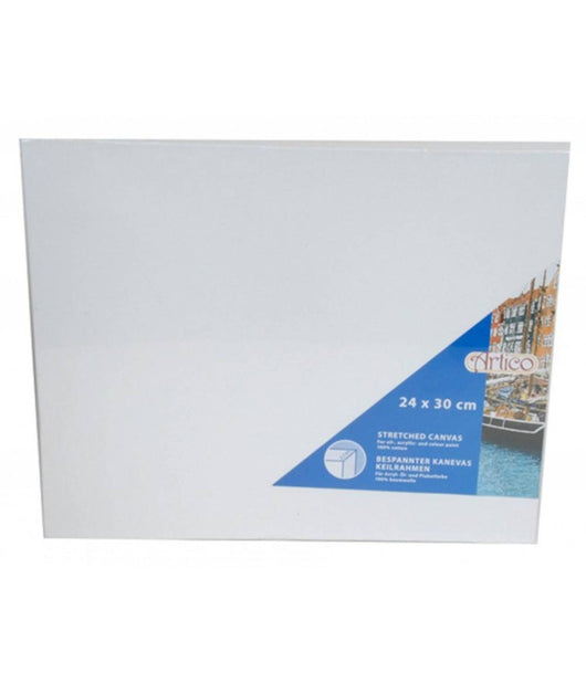 Tela Per Pitturare Canvas Rettangolare 24x30x3,7cm Artico Disegno Arte Pittura         