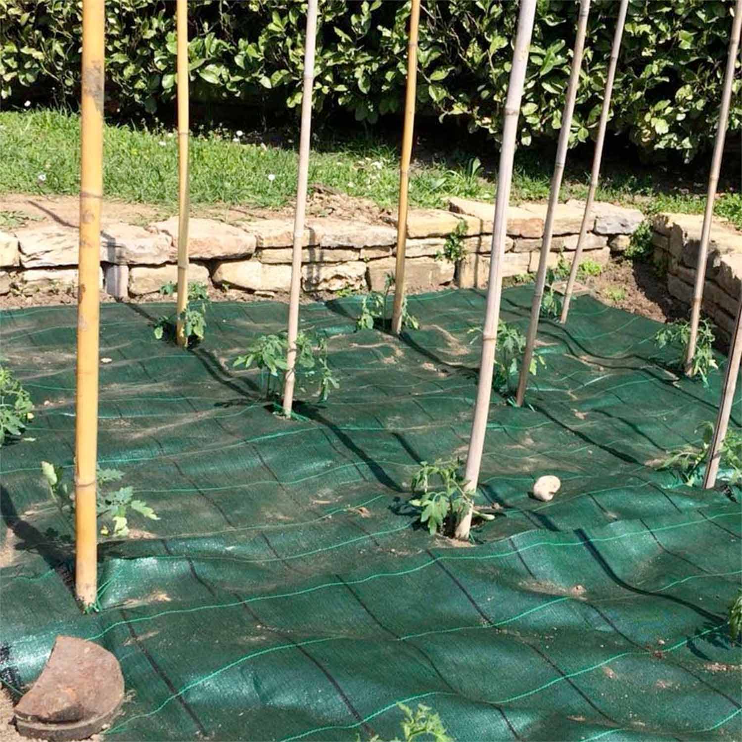 Telo per pacciamatura in polipropilene 100g/mq con rivestimento anti-UV. Telo anti erbacce per protezione orto piante e fiori. M10x1,05