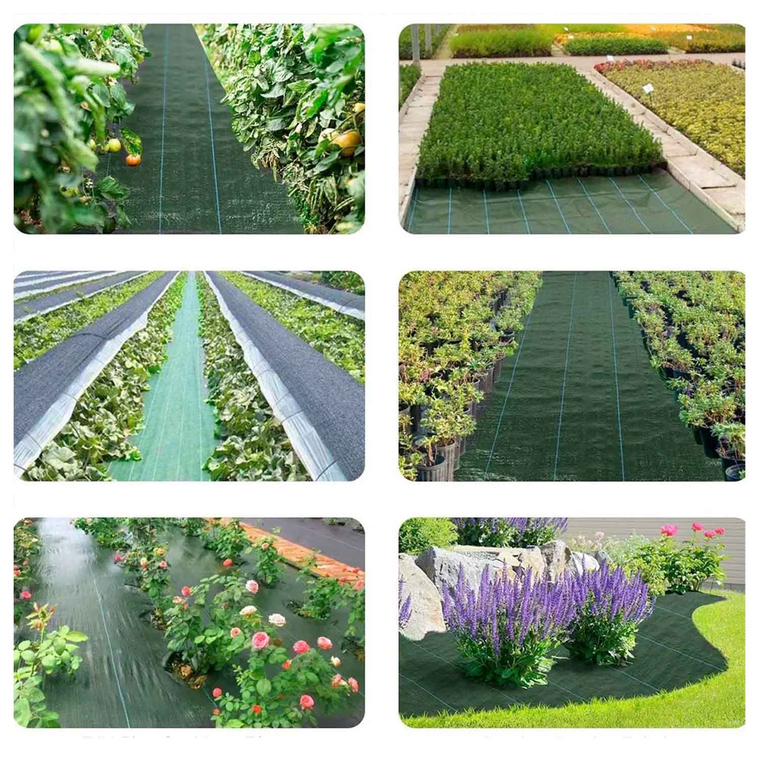 Telo per pacciamatura in polipropilene 100g/mq con rivestimento anti-UV. Telo anti erbacce per protezione orto piante e fiori. M10x1,05
