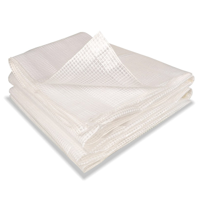 ProBache - Telo telone rinforzato trasparente 5x8 mt