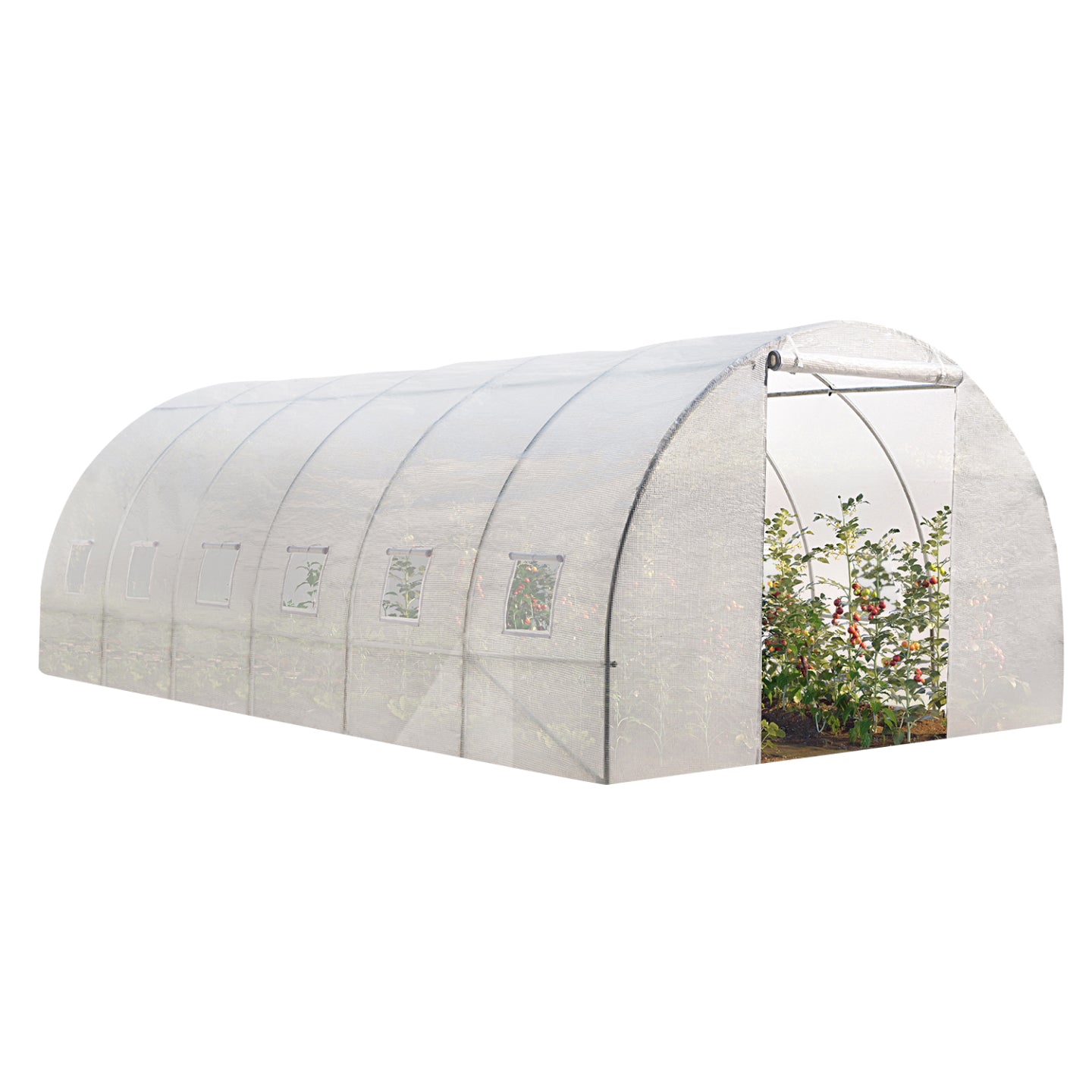 ProBache - Telone di ricambio da 130gr/m² per serra a tunnel CRIMÉE trasparente da 18 m²