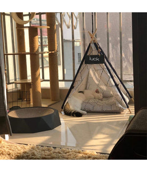 Tepee Letto Cuscino Lavagna Rimovibile Lavabile Portatile Per Animali 50x50x70cm         