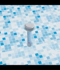 Termometro Galleggiante Per Piscina In Abs Temperatura Acqua Con Cordicella 58072         