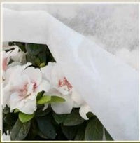 Telo tnt bianco 17 gr 1.6 x 10 mt