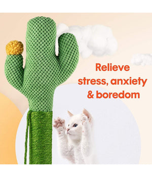 Tiragraffi Cactus 40 X 70 Cm Colonne Albero Per Gatti Palo In Naturali Sisal         