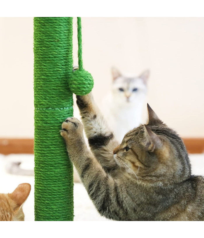 Tiragraffi Cactus 40 X 70 Cm Colonne Albero Per Gatti Palo In Naturali Sisal         