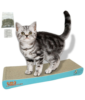 Tiragraffi In Carta Cartone Gatta Per Unghie Gatto Gioco Tira Graffi 50 X 22 Cm         