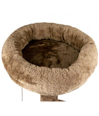 Tiragraffi Nobleza Albero Gatti Con Corda E Pallina A 2 Piani 50 X 35 X 72 Cm         