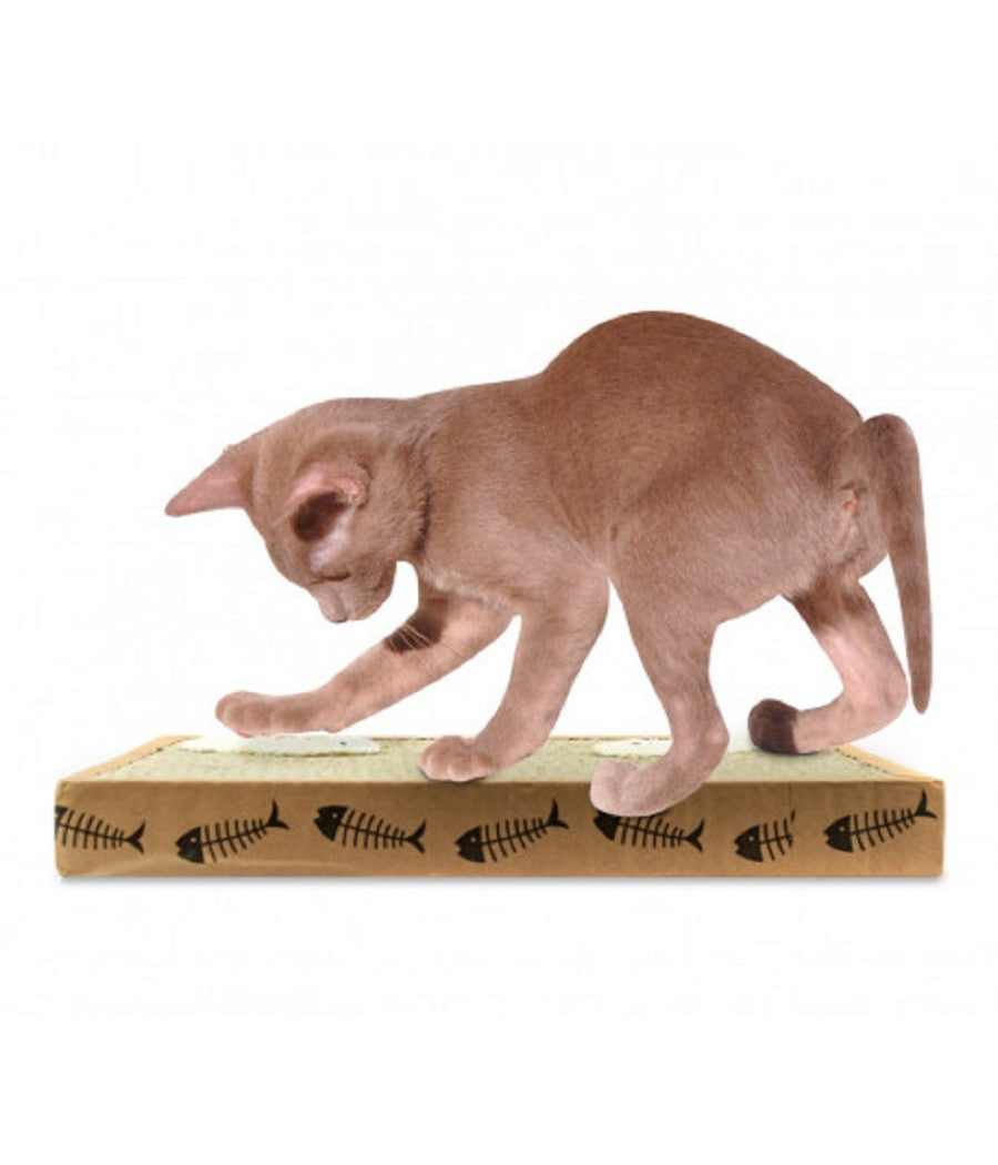 Tiragraffi Nobleza Per Gatti Cartone Profumato 38.2 X 23 X 4 Cm Fishing Box         