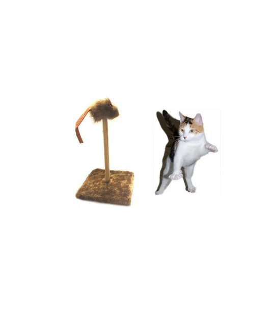 Tiragraffi Tira Graffi Con Molla Topino Oscillante Peluche Gioco Per Gatti Gatto         