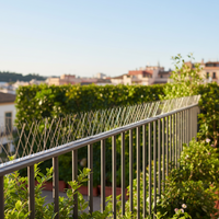 Dissuasore volatili punte acciaio inox per esterni