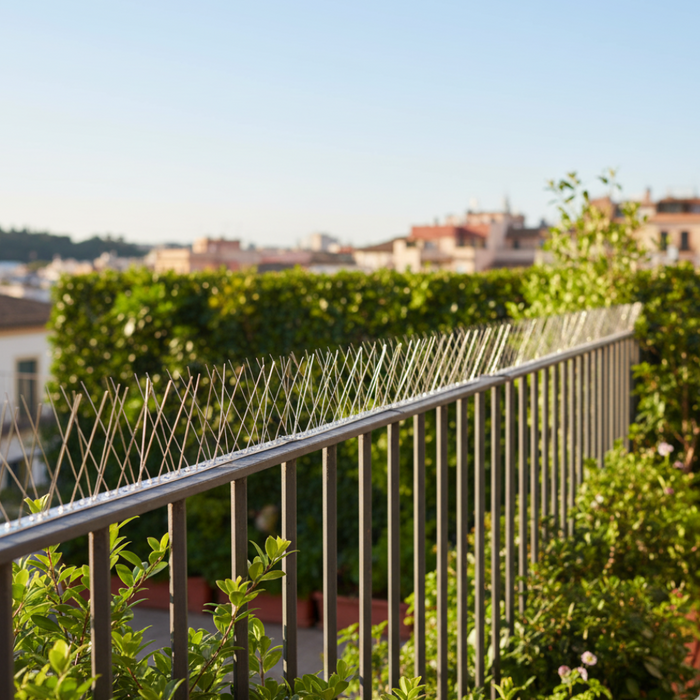 Dissuasore volatili punte acciaio inox per esterni