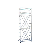 Trabattello REAL h.mt 4,50 Lavoro