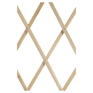 Traliccio Legno Rete Estensibile Piante Rampicanti Staccionata 100x200 Cm 206429