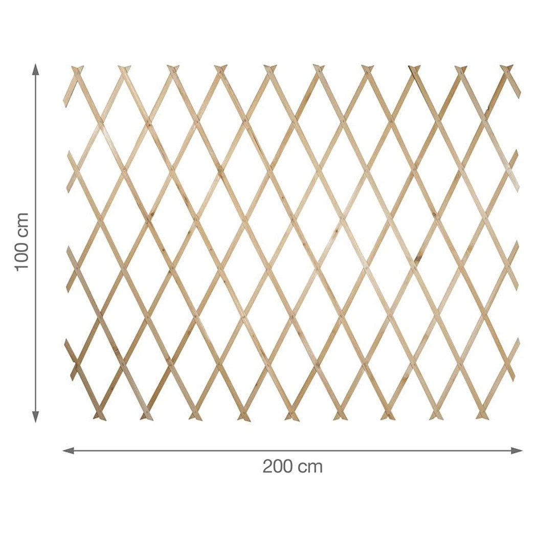 Traliccio Legno Rete Estensibile Piante Rampicanti Staccionata 100x200 Cm 206429